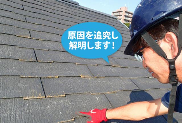 無料点検　原因究明